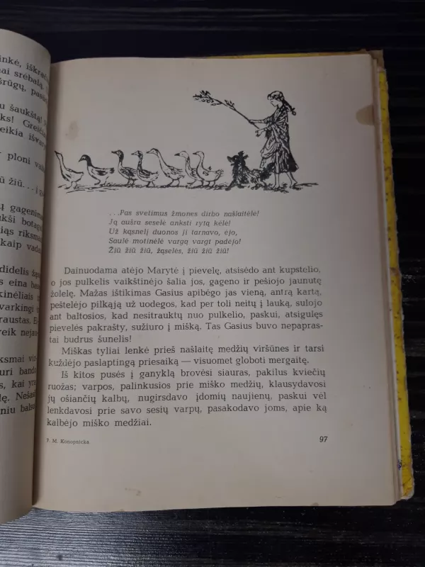 Nykštukai ir našlaitė Marytė - Maria Konopnicka, knyga 5
