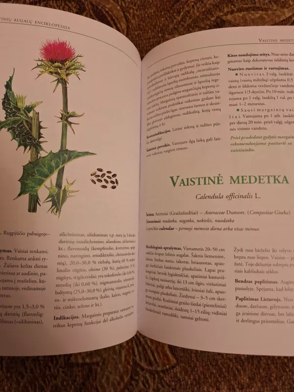 Vaistinių augalų enciklopedija - Ona Ragažinskienė, Silvija Rimkienė, Valdas Sasnauskas, knyga 6