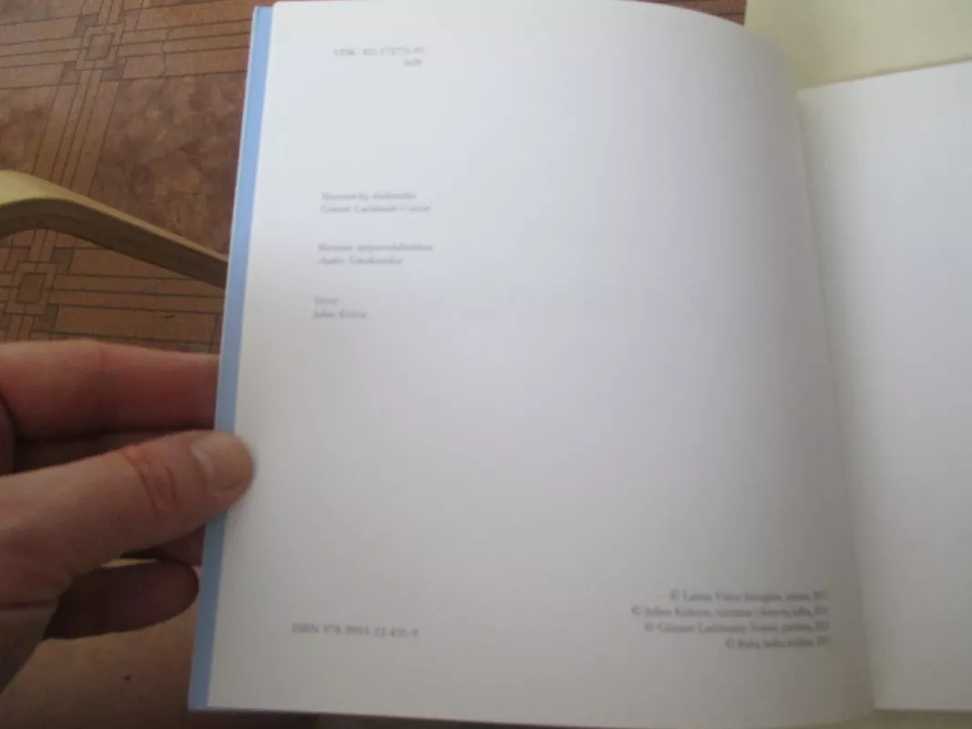 Juk pažadėjai - Laima Vincė, knyga 6