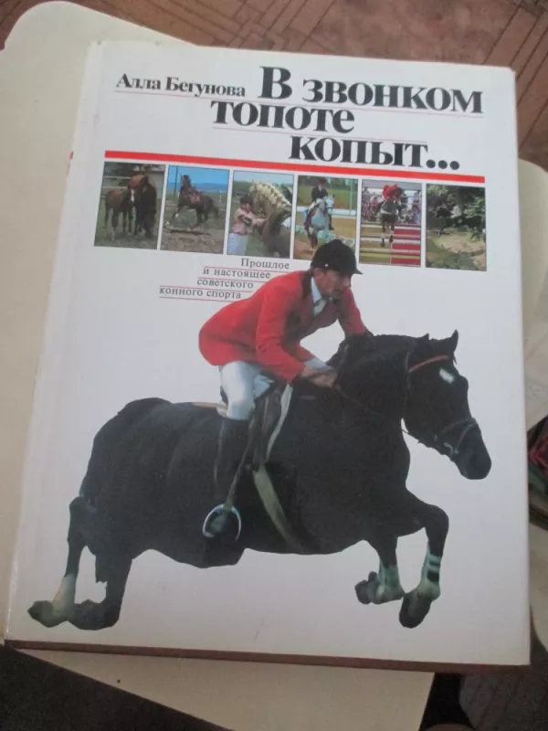 Skambant kanopų plakimui - Alla Begunova, knyga 3