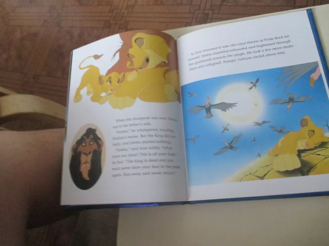 The Lion King - Autorių Kolektyvas, knyga 6