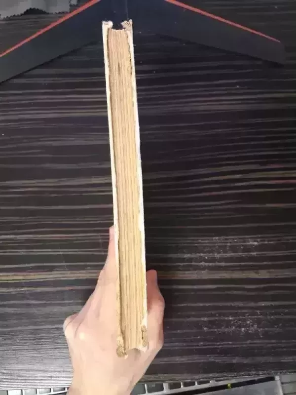 Nykštukai ir našlaitė Marytė - Maria Konopnicka, knyga 4