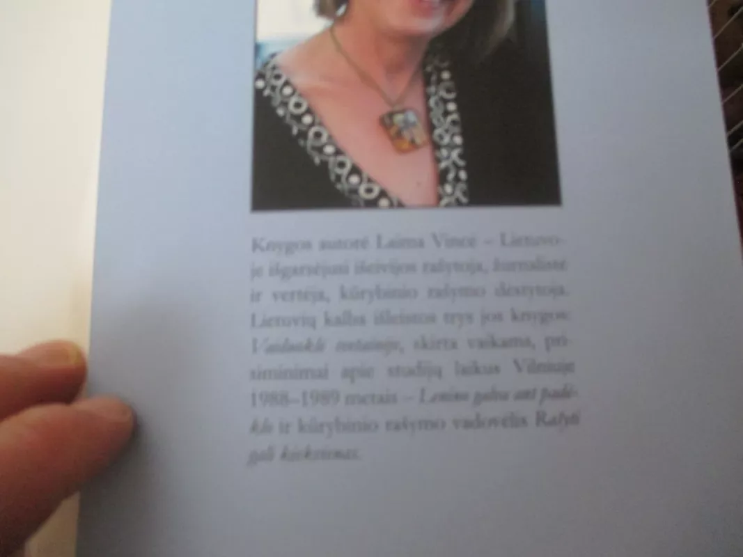 Juk pažadėjai - Laima Vincė, knyga 4