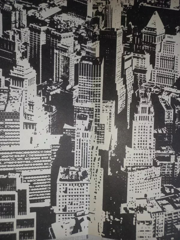 Ekologičeskij džin urbanizacii - T.B.Bočkariova, knyga 3