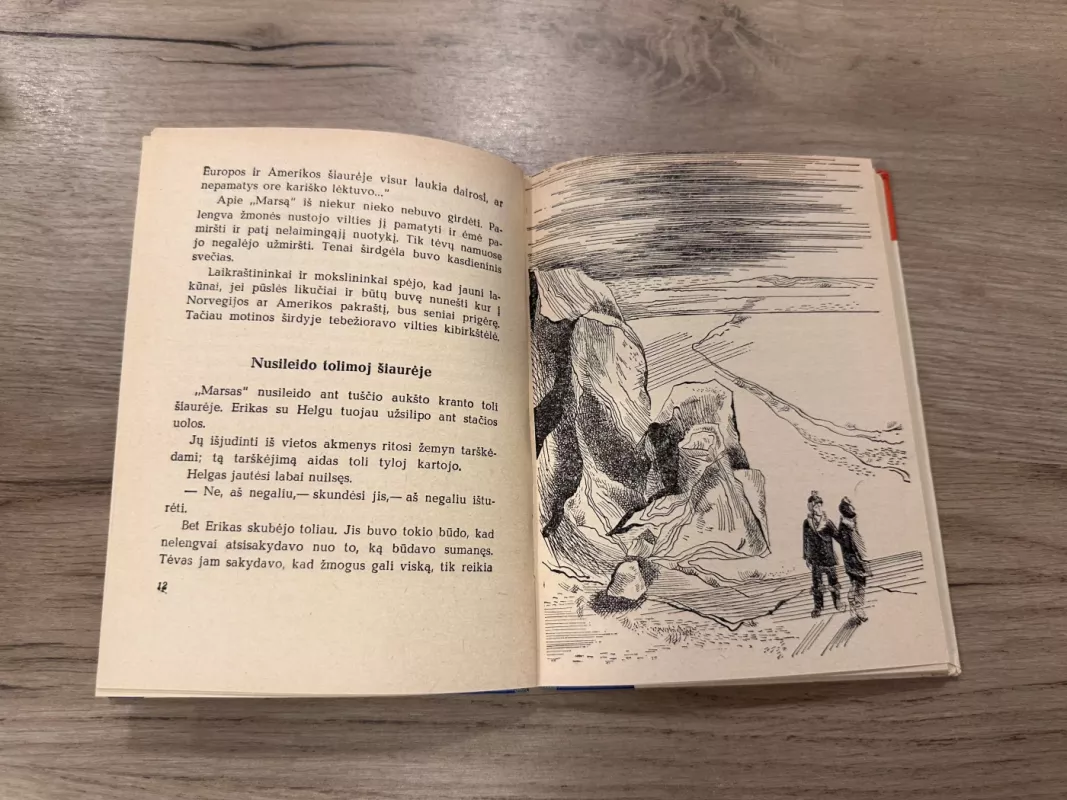 Vilties klonyje Grenlandijoje - Erikas Hansenas, knyga 4