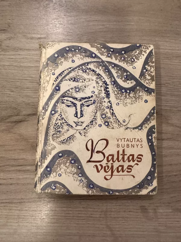 Baltas vėjas - Vytautas Bubnys, knyga 2