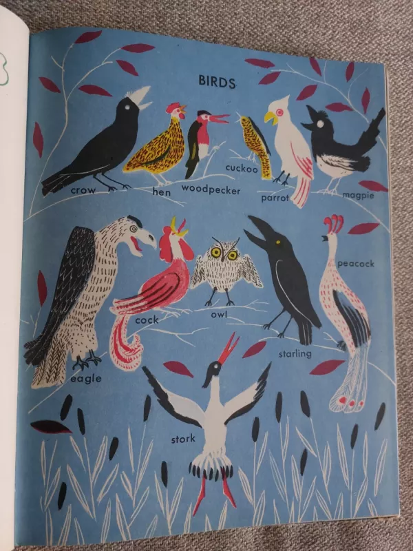 English in pictures - Shkarina V. Ingal K., knyga 3