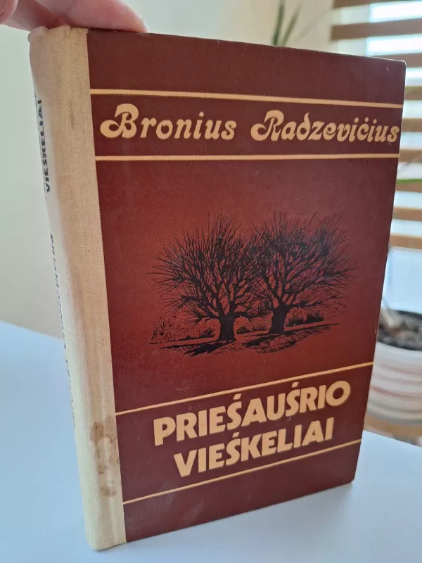 Priešaušrio vieškeliai - Bronius Radzevičius, knyga 4