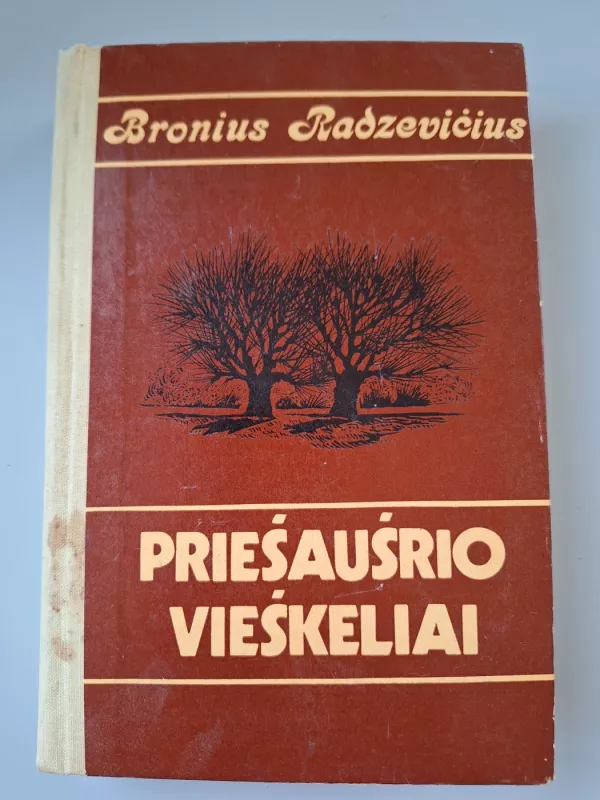 Priešaušrio vieškeliai - Bronius Radzevičius, knyga 2