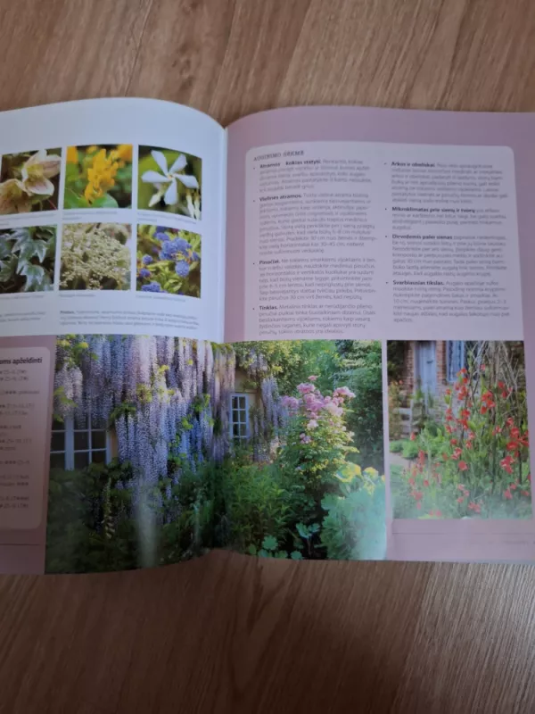 Sodas: idėjos, dizainas, augalai - Matt James, knyga 6