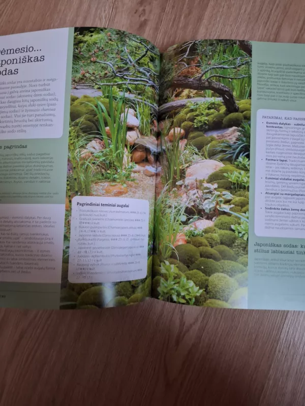 Sodas: idėjos, dizainas, augalai - Matt James, knyga 5