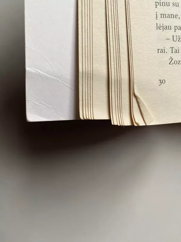 Šokoladas - Joanne Harris, knyga 5