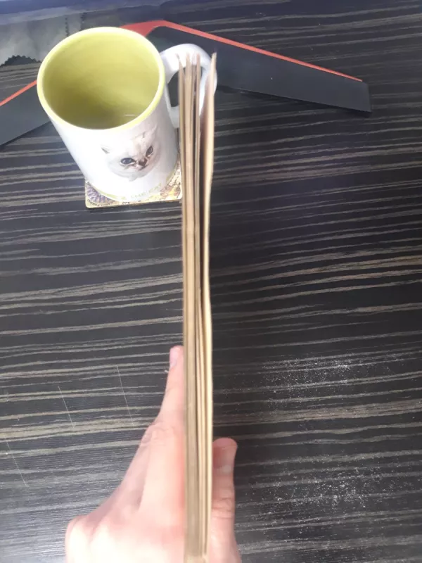 Как гуси Рим спасли - Толстой Лев, knyga 5