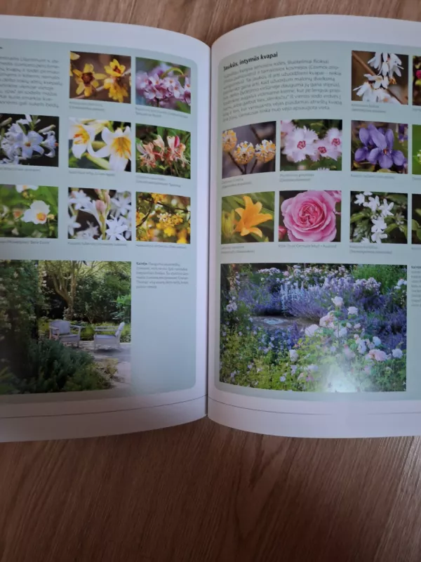 Sodas: idėjos, dizainas, augalai - Matt James, knyga 4