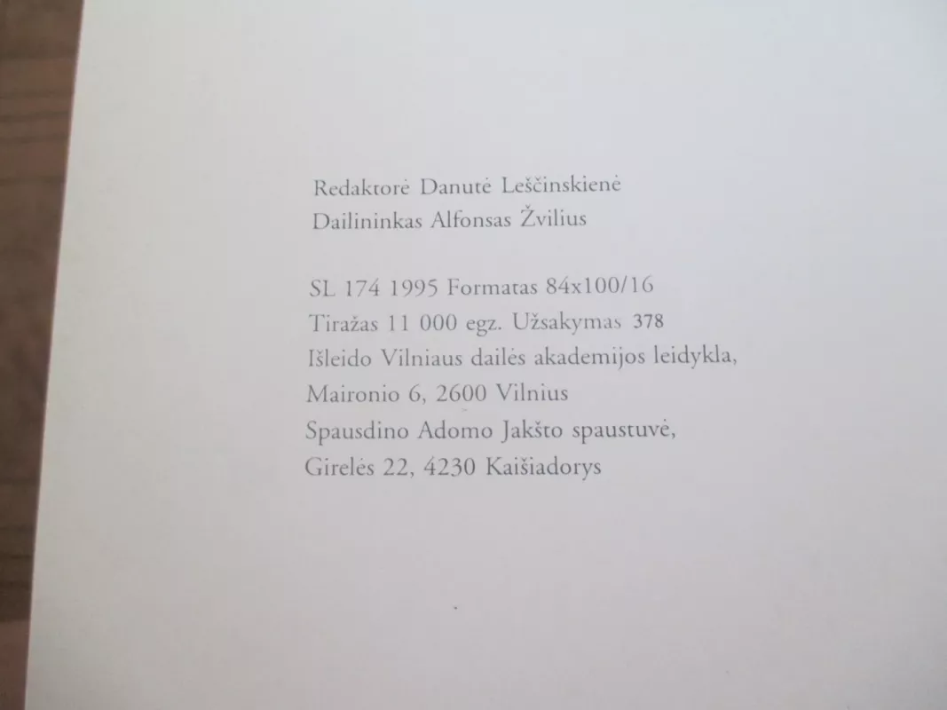 Lietuva iki Kristaus - Rimutė Rimantienė, knyga 4