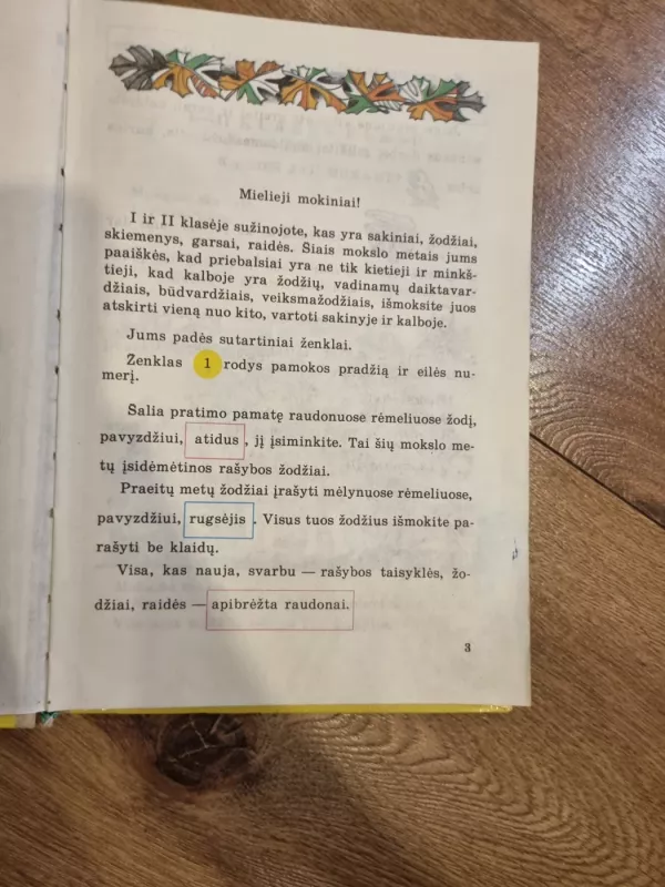 Lietuvių kalba - Vida Plentaitė, knyga 4