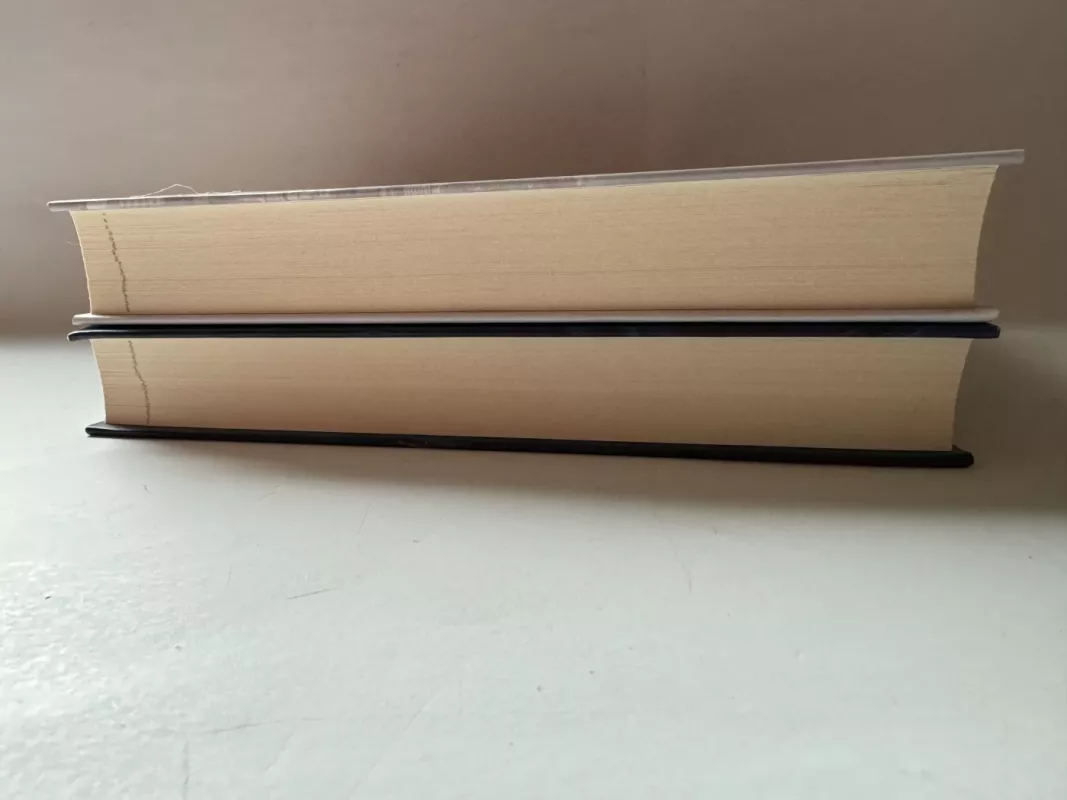 Virtualiosios realybės žaidimas - Marie Lu, knyga 4