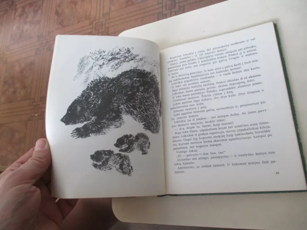 Miško slėpynės - Nikolajus Sladkovas, knyga 6