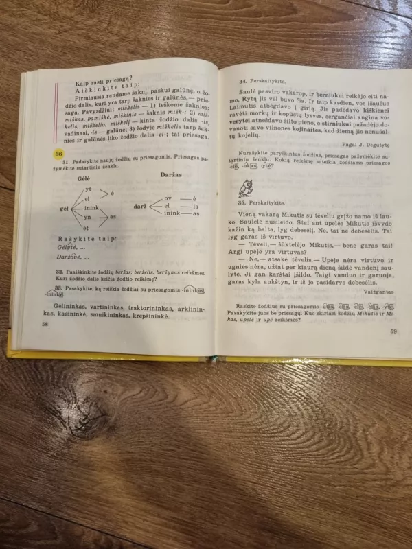 Lietuvių kalba - Vida Plentaitė, knyga 5