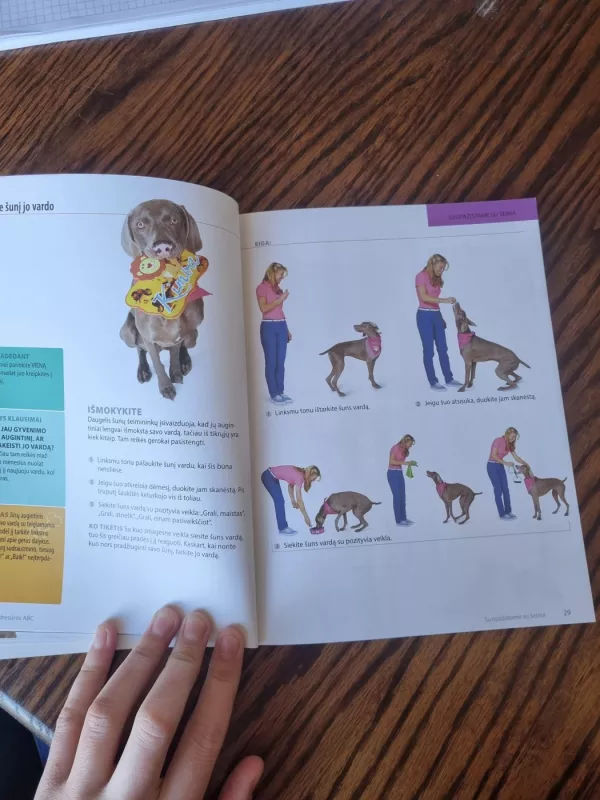 Šuns dresūros ABC - Kyra Sundance, knyga 3