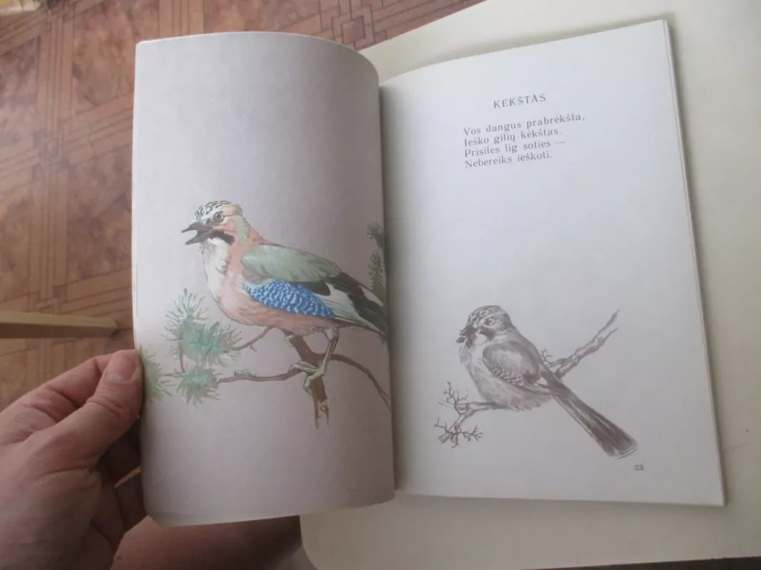 Laukiniai paukščiai ir žvėrys - Asta Rėbždaitė, knyga 5