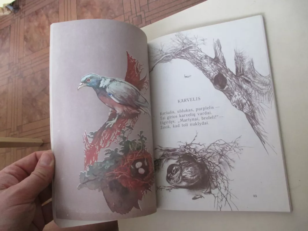 Laukiniai paukščiai ir žvėrys - Asta Rėbždaitė, knyga 6