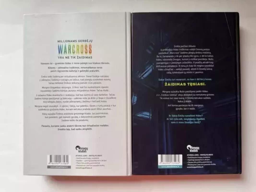 Virtualiosios realybės žaidimas - Marie Lu, knyga 3