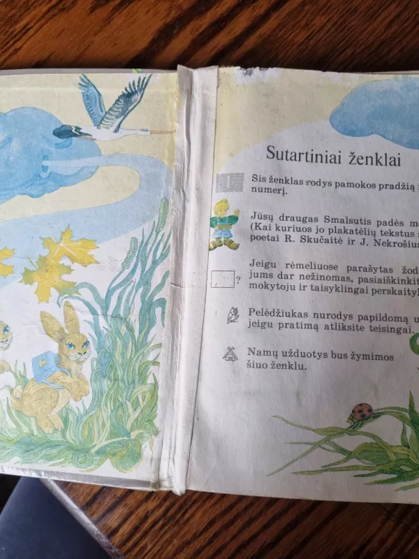 Lietuvių kalba - Bronė Lapinskienė, knyga 3