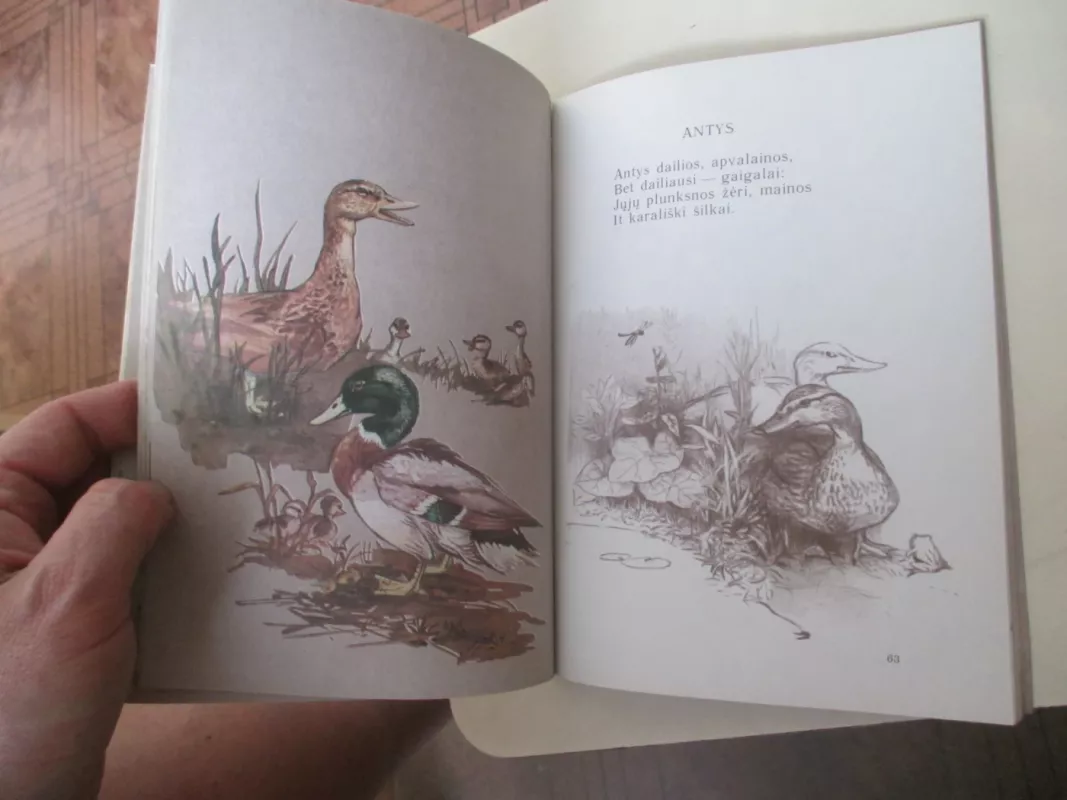 Laukiniai paukščiai ir žvėrys - Asta Rėbždaitė, knyga 3