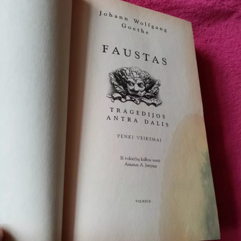 Faustas - Johann Wolfgang Goethe, knyga 3