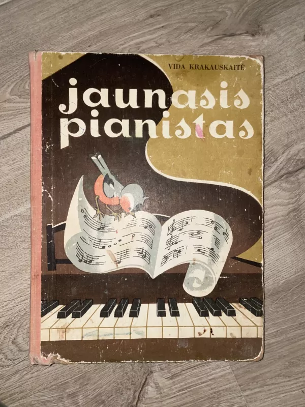 Jaunasis pianistas - Vida Krakauskaitė, knyga 2