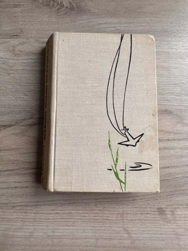 Geriau mums nesusitikti - Mykolas Sluckis, knyga 2