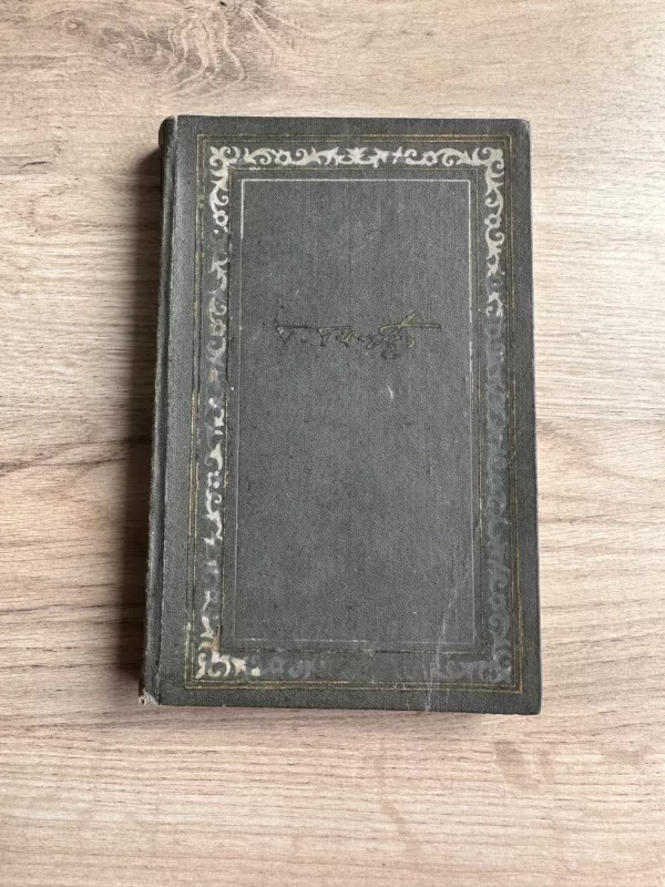 Rinktinė - Teofilis Tilvytis, knyga 2