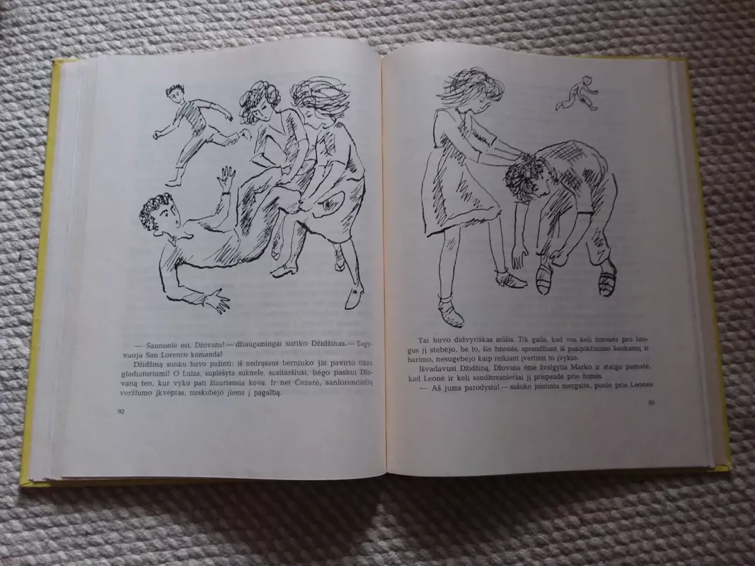 Būrys iš San Lorenco - Marčelas Ardžilis, knyga 4