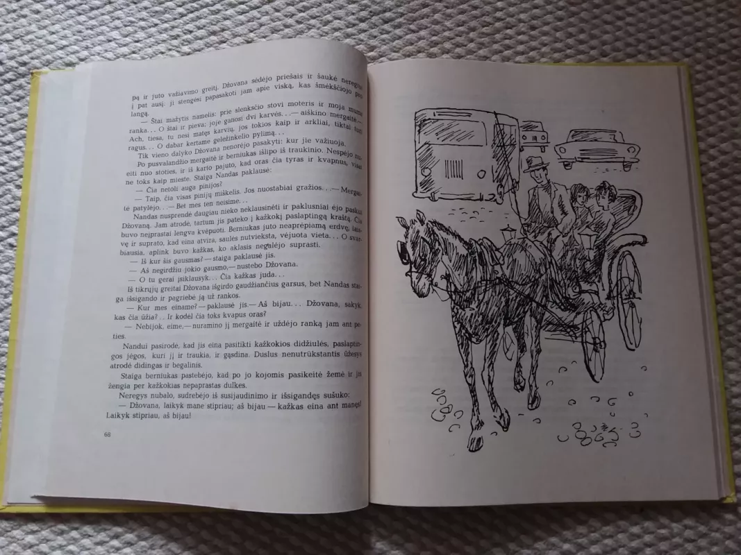 Būrys iš San Lorenco - Marčelas Ardžilis, knyga 5