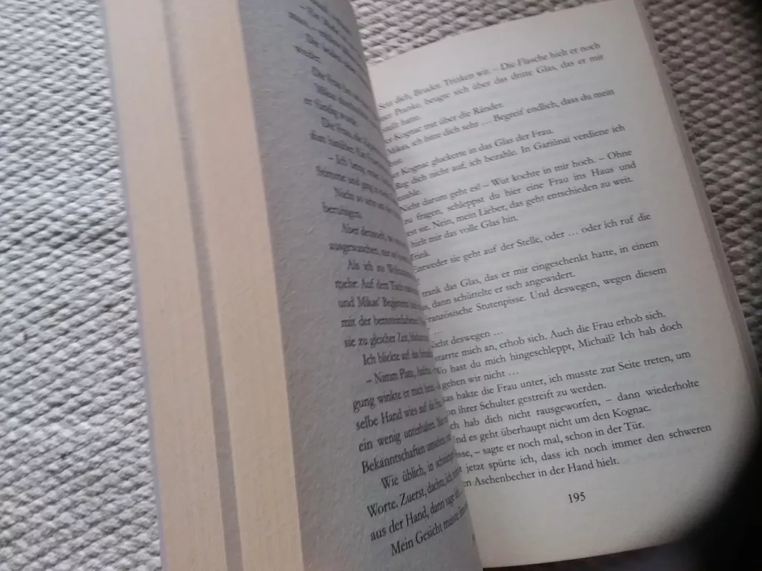 Der Gast - Vytautas Bubnys, knyga 3