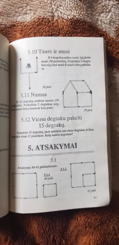 Galvosūkių karalystėje - Jonas Bračiulis, knyga 5