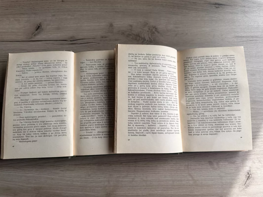 Nuodėmės istorija (2 tomai) - Stefanas Žeromskis, knyga 4