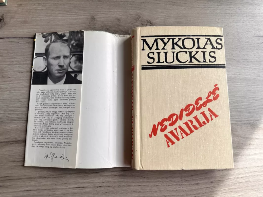 Nedidelė avarija - Mykolas Sluckis, knyga 3