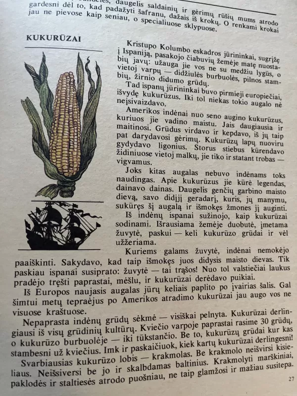 Apie kviečius ir grikius, kukurūzus ir rugius - Nikolajus Osipovas, knyga 4