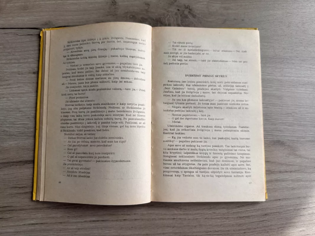 Mėnulis ir skatikas - Viljamas Somersetas Moemas, knyga 4