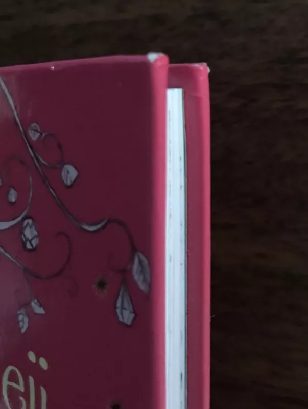 Magiškieji vienaragiai. Vėjo burtai - Zanna Davidson, knyga 6