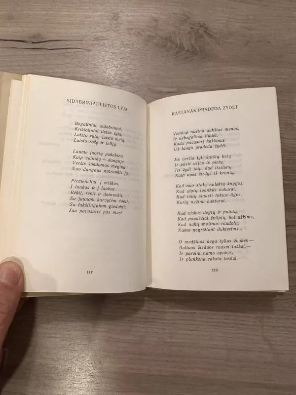 Lyrika - Henrikas Radauskas, knyga 5