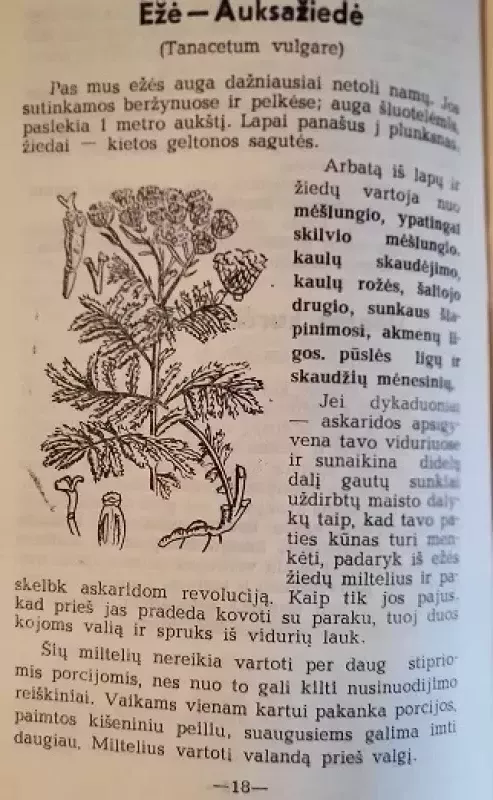 Gydantieji augalai - J. Birzinas, knyga 4