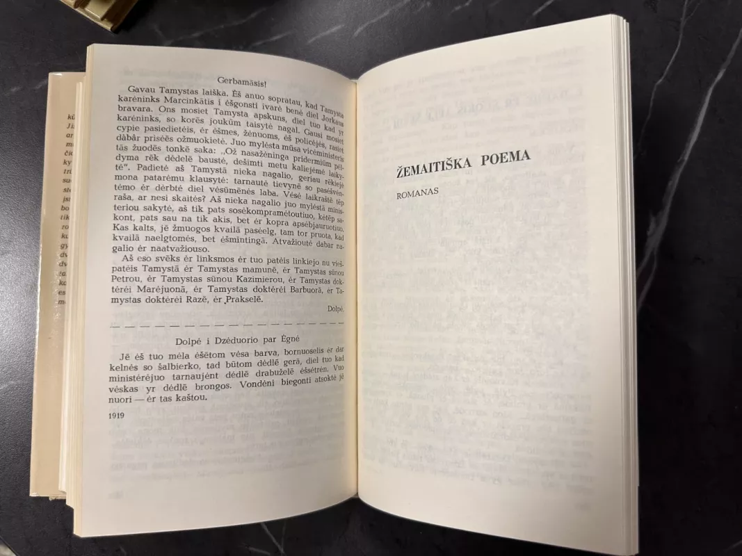 Sofija Čiurlionienė-Kymantaitė Raštai (3 tomas) - Autorių Kolektyvas, knyga 3