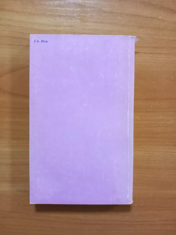 Juodasis obeliskas - Erichas Marija Remarkas, knyga 3