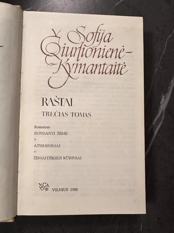 Sofija Čiurlionienė-Kymantaitė Raštai (3 tomas) - Autorių Kolektyvas, knyga 4