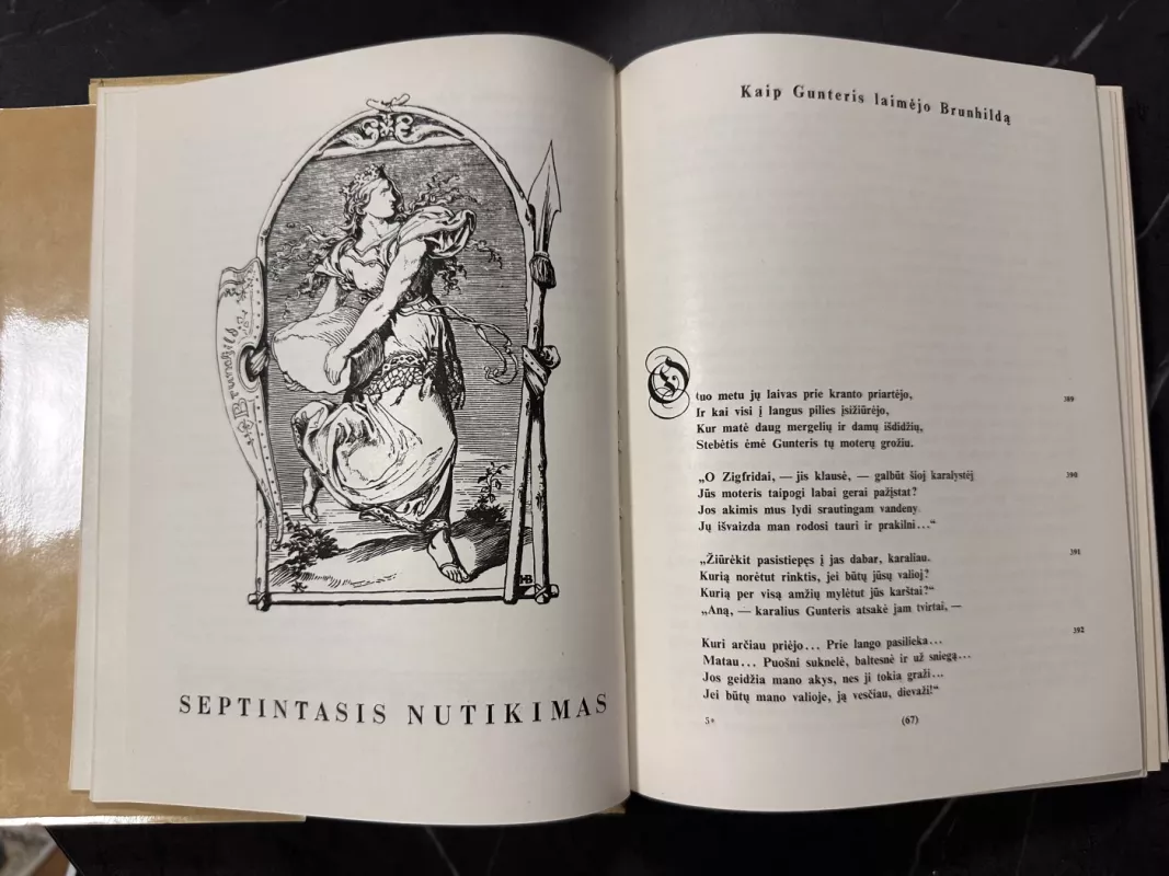 Nibelungų giesmė - Autorių Kolektyvas, knyga 4