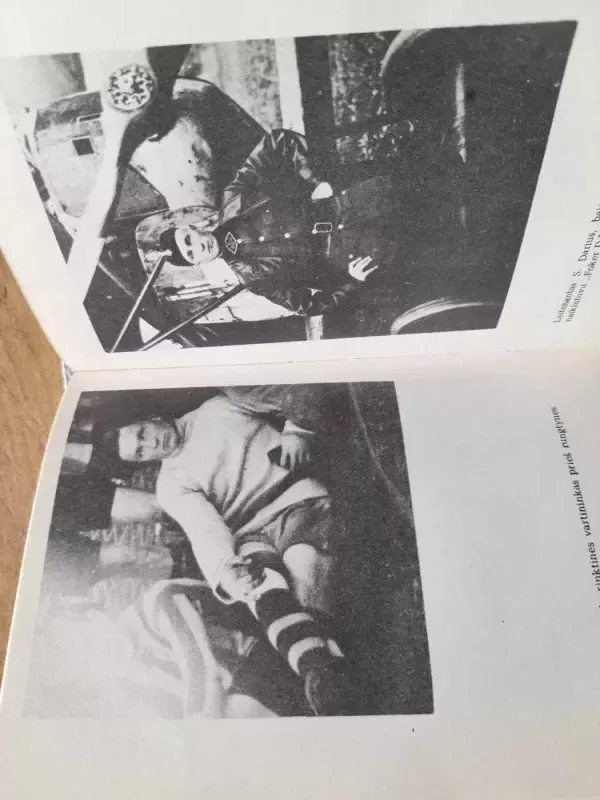 Vėjai blaškė, žaibai plakė... - Vytautas Dovydaitis, knyga 3