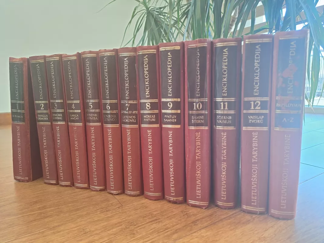 Lietuviškoji Tarybinė Enciklopedija (7 tomas) - Autorių Kolektyvas, knyga 6